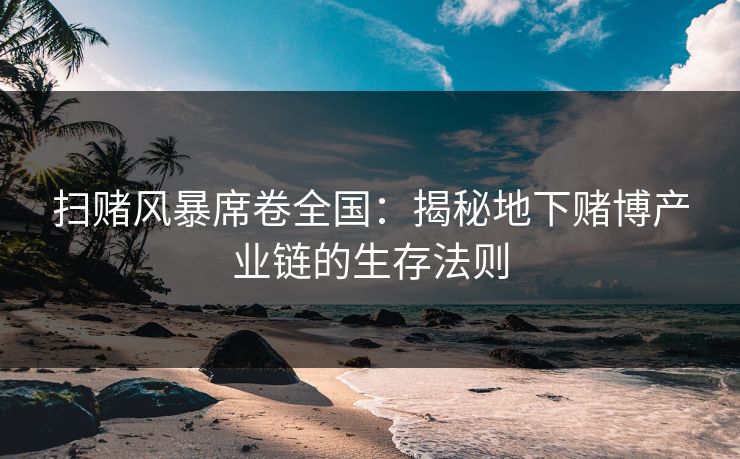 扫赌风暴席卷全国：揭秘地下赌博产业链的生存法则