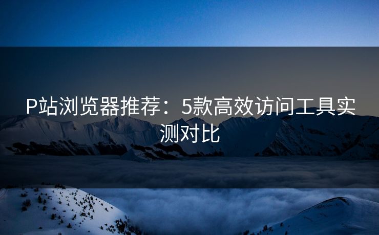 P站浏览器推荐：5款高效访问工具实测对比