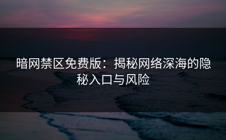 暗网禁区免费版：揭秘网络深海的隐秘入口与风险  第1张