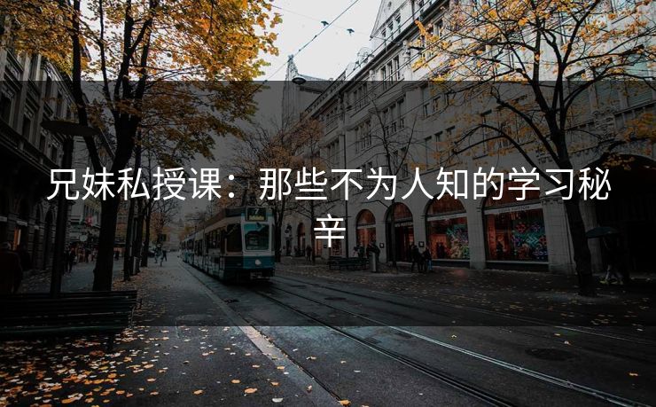 兄妹私授课：那些不为人知的学习秘辛
