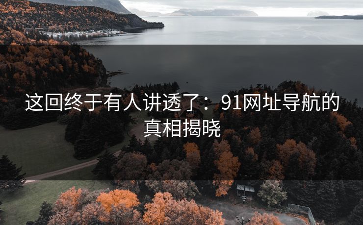 这回终于有人讲透了：91网址导航的真相揭晓  第1张